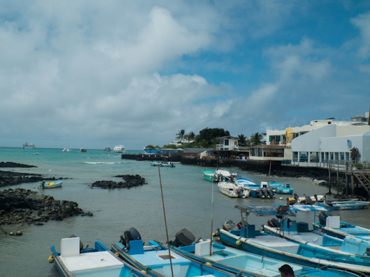 puerto-ayora-galapagos-tout-equateur